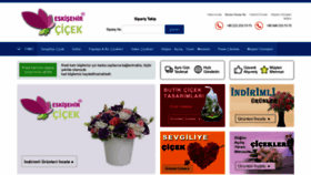 What Eskisehircicek.com.tr website looked like in 2020 (4 years ago)