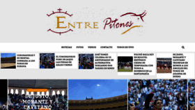 What Entrepitones.com website looked like in 2020 (4 years ago)