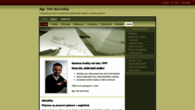 What Englishservice.cz website looked like in 2020 (4 years ago)