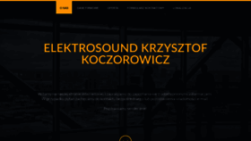 What Elektrosound.pl website looked like in 2020 (4 years ago)