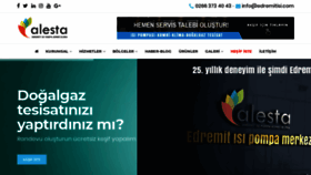 What Edremitisi.com website looked like in 2020 (4 years ago)