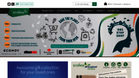 What Ecohoy.com website looked like in 2020 (5 years ago)