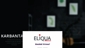 What Eliqua.me website looked like in 2020 (4 years ago)