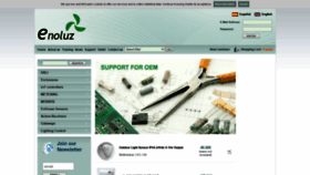 What Enoluz.com website looked like in 2020 (4 years ago)