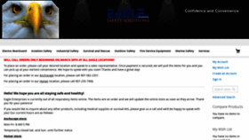 What Eaglesafety.info website looked like in 2020 (4 years ago)