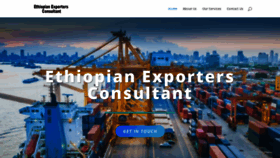 What Ethiopianexporters.com website looked like in 2020 (3 years ago)