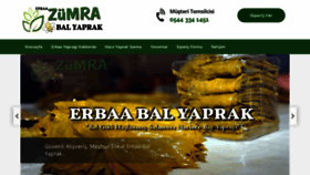 What Erbaayapragi.com website looked like in 2020 (4 years ago)