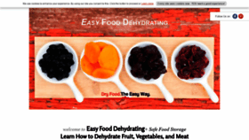 What Easy-food-dehydrating.com website looked like in 2020 (3 years ago)