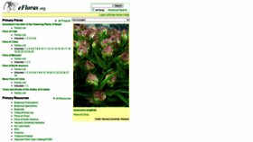 What Efloras.org website looked like in 2020 (3 years ago)
