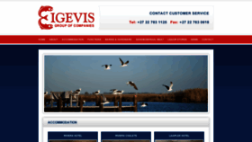 What Eigevis.com website looked like in 2020 (4 years ago)