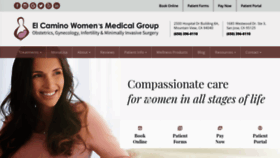 What Elcaminowomen.com website looked like in 2020 (5 years ago)