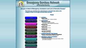 What Esnkenosha.org website looked like in 2020 (4 years ago)