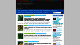 What Edukasinesia.com website looked like in 2020 (3 years ago)