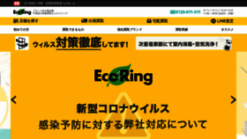 What Eco-ring.com website looked like in 2020 (3 years ago)
