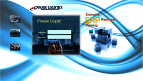 What Erp.pandulogistics.com website looked like in 2020 (3 years ago)