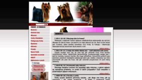 What E-yorki.pl website looked like in 2020 (3 years ago)