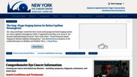 What Eyecancer.com website looked like in 2020 (3 years ago)