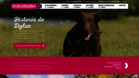 What Eukanuba.es website looked like in 2020 (3 years ago)