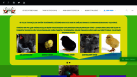 What Eminyarka.com website looked like in 2020 (3 years ago)