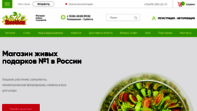 What Exotiks.ru website looked like in 2020 (3 years ago)