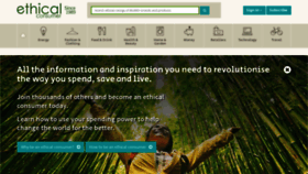What Ethiscore.org website looked like in 2020 (5 years ago)