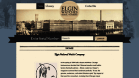 What Elginnumbers.com website looked like in 2020 (3 years ago)