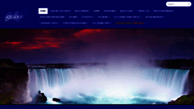 What Elany.org website looked like in 2020 (3 years ago)