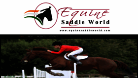 What Equinesaddleworld.com website looked like in 2020 (3 years ago)