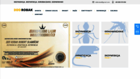 What Edddrobak.pl website looked like in 2020 (5 years ago)