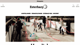 What Esterhazy.at website looked like in 2020 (3 years ago)