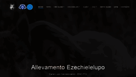 What Ezechielelupo.com website looked like in 2020 (3 years ago)