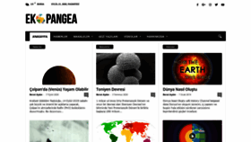 What Ekopangea.com website looked like in 2020 (3 years ago)