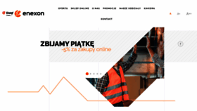 What Elektroskandia.pl website looked like in 2020 (3 years ago)