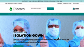 What Effacera.com website looked like in 2020 (5 years ago)