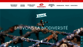 What Ecocean.fr website looked like in 2020 (3 years ago)