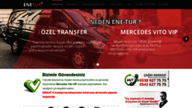 What Enetur.com website looked like in 2020 (3 years ago)