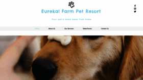 What Eurekafarm.com website looked like in 2020 (5 years ago)