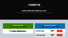 What Edirnecicekcisi.com website looked like in 2020 (3 years ago)