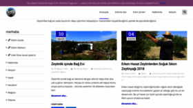 What Erkinle.com website looked like in 2020 (3 years ago)