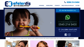 What Efelerdis.com website looked like in 2020 (3 years ago)