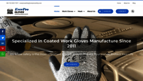 What Everprogloves.com website looked like in 2020 (4 years ago)