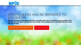 What Epicflowers.com website looked like in 2020 (3 years ago)