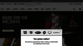 What Evoshield.com website looked like in 2020 (3 years ago)