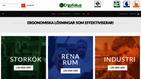 What Ergofokus.se website looked like in 2020 (3 years ago)