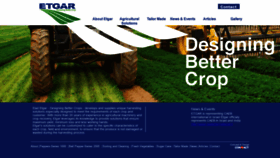 What Eladetgar.com website looked like in 2020 (3 years ago)