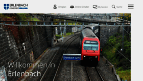 What Erlenbach.ch website looked like in 2020 (3 years ago)