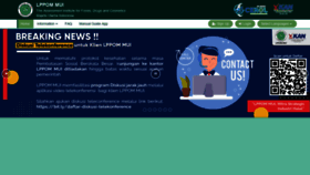 What E-lppommui.org website looked like in 2020 (4 years ago)