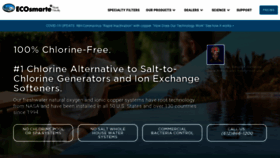What Ecosmarte.com website looked like in 2020 (4 years ago)