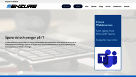 What Enzure.se website looked like in 2020 (3 years ago)