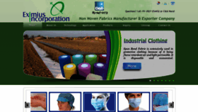 What Eximnonwoven.com website looked like in 2020 (3 years ago)